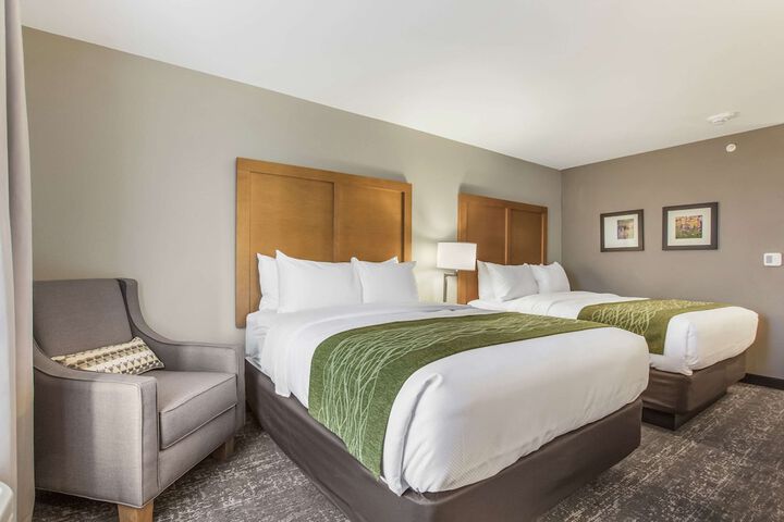 2 Queen Beds (9 of 15)