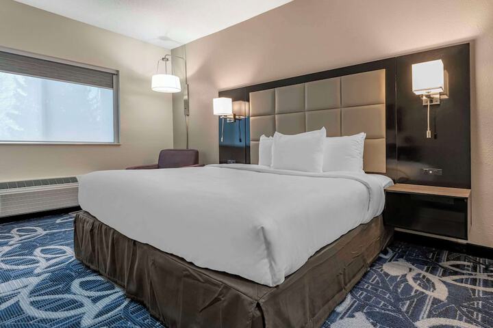 1 King Bed Accessible (8 of 13)