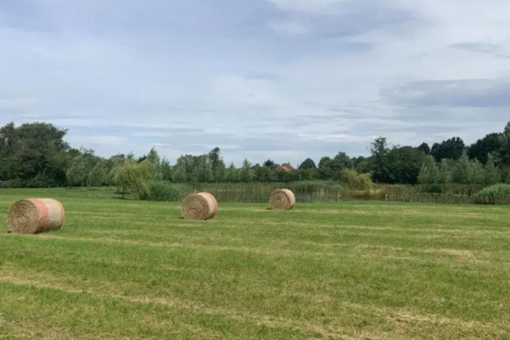 General 3 of 18