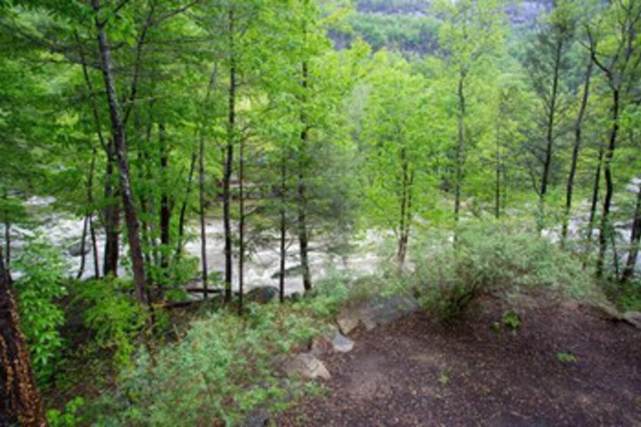 Property Grounds 145 of 173