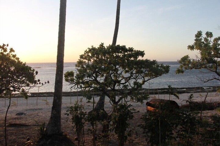Beach 23 of 31