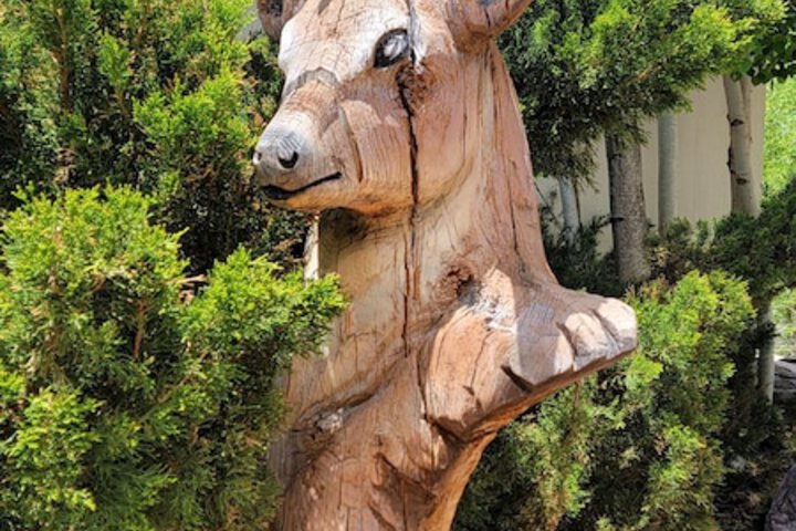 Outdoor Activities 58 of 122