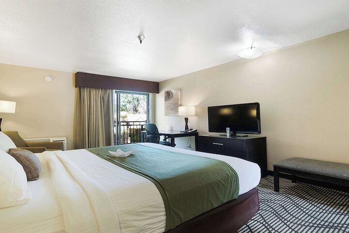 1 King Bed Deluxe Furnishings Sitting Area High Speed Internet Accessible Microwave (8 of 14)
