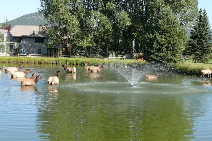 Lake
