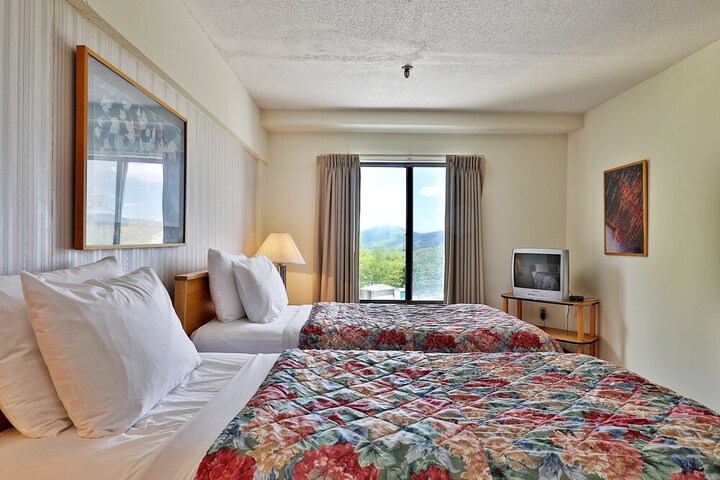 Room 6 of 234
