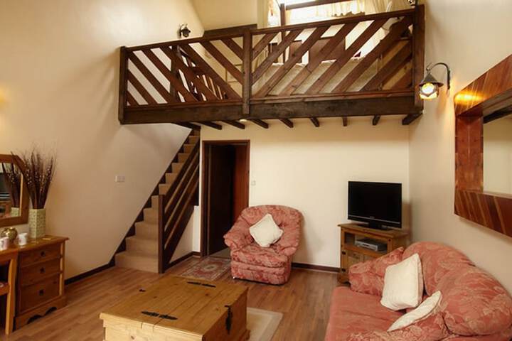Room 3 of 40