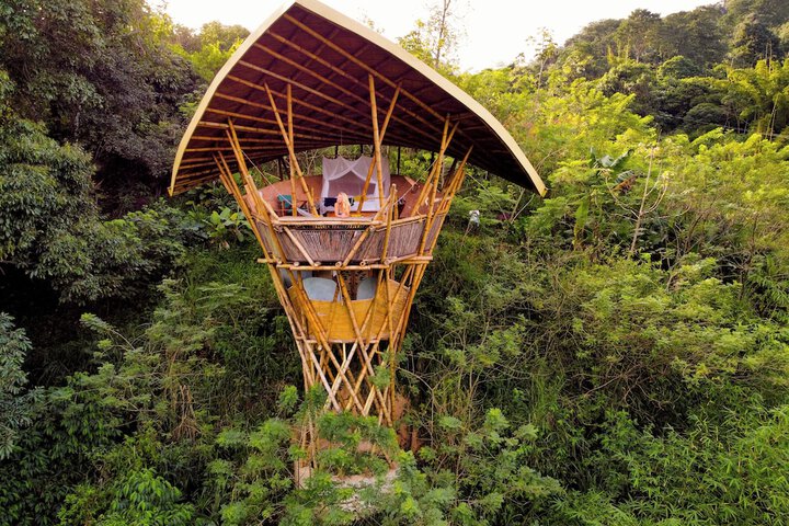 SelvaMinca in Santa Marta