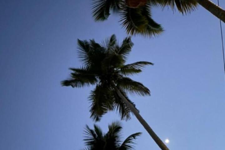 General 5 of 41