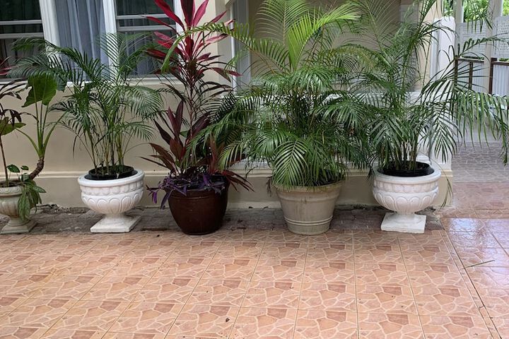 Terrace/Patio 68 of 162