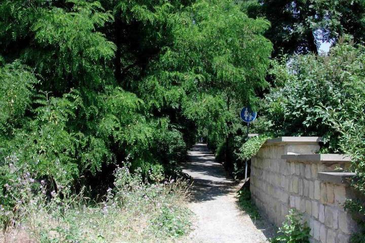 Property Grounds 22 of 33
