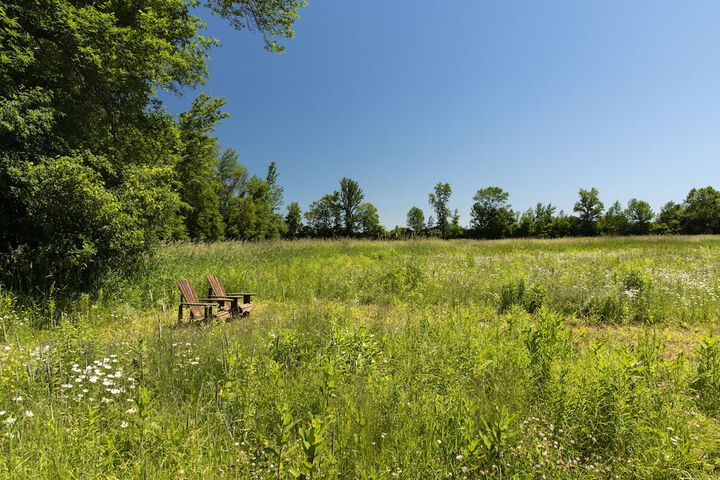Property Grounds 20 of 36