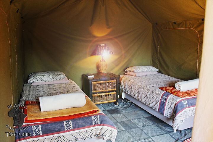 Room 4 of 60