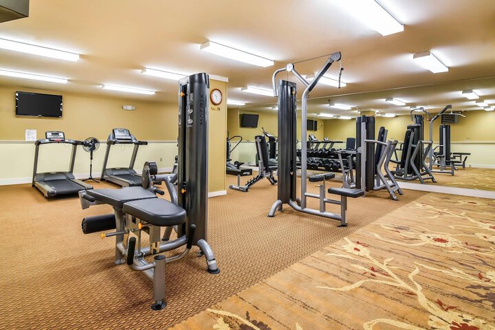 Gym & Fitness