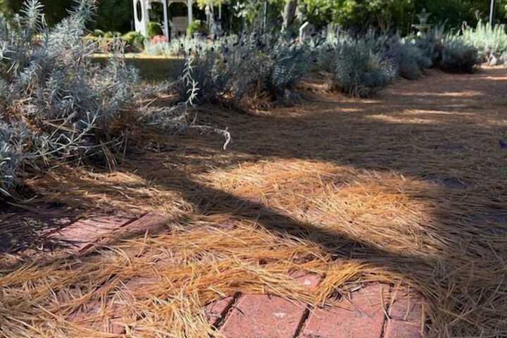 Hotel Exterior 62 of 79