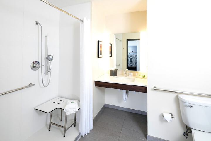 Standard King Bed Bathtub Accessible (18 of 34)