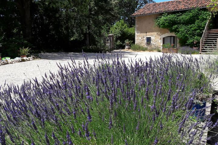 Les Vitarelles En Quercy
