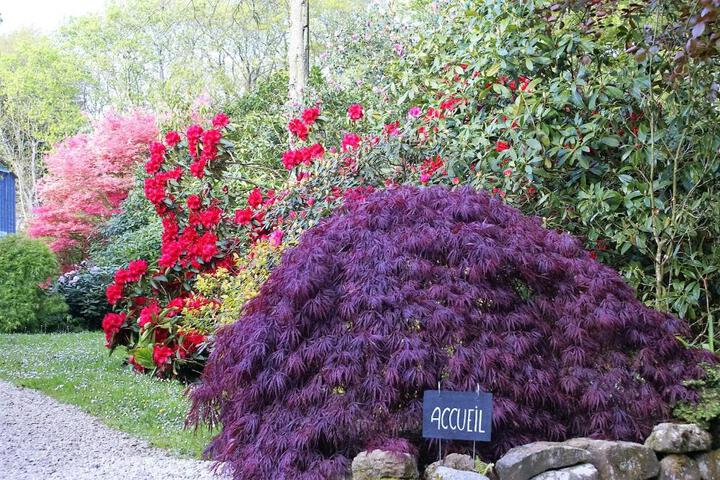 Spa and Wellness Pictures