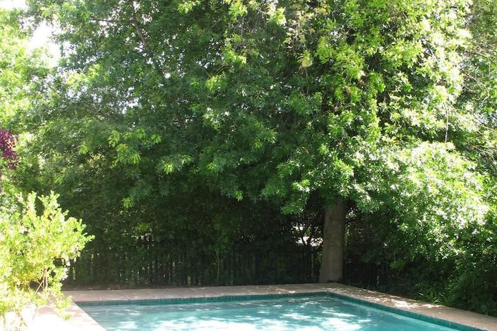 Hotel Pool