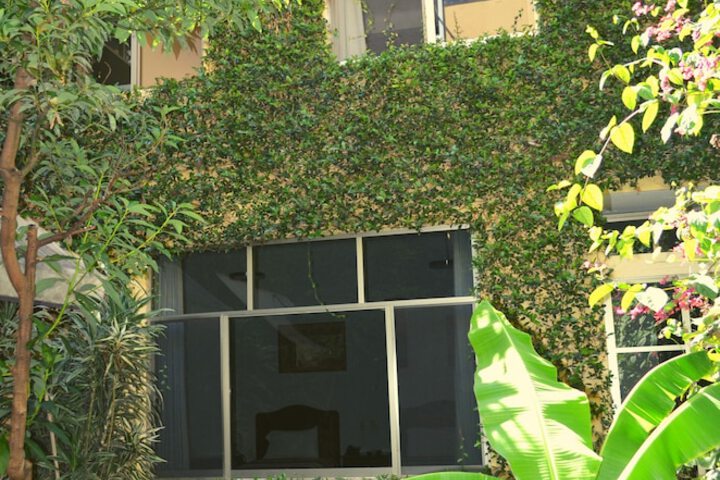 Hotel Exterior 63 of 73