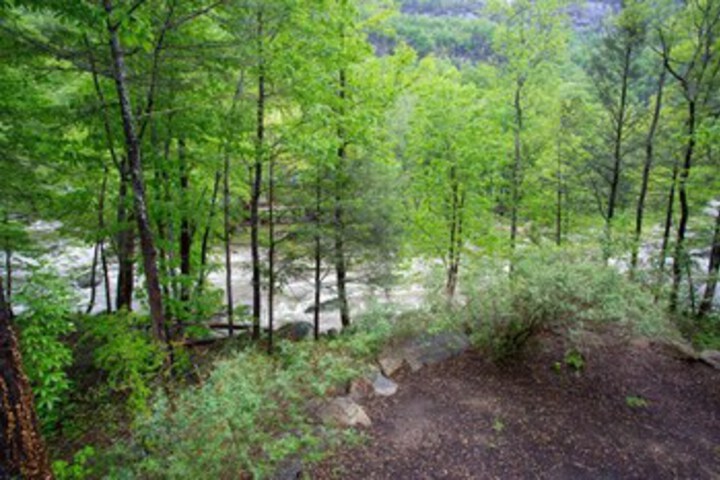 Property Grounds 147 of 173