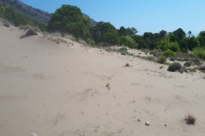Beach 27 of 42