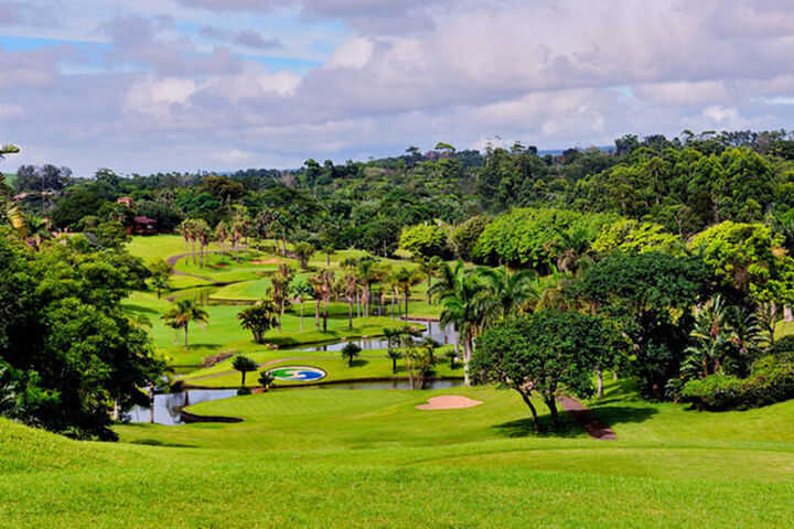 Golf 15 of 21