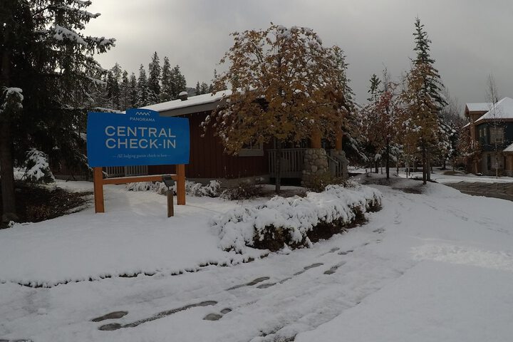 Check-in/check-out kiosk