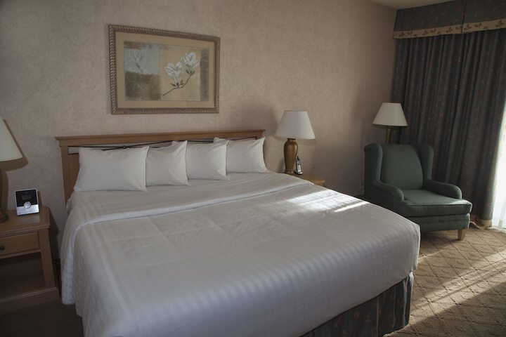 1 King Bed Accessible (5 of 17)