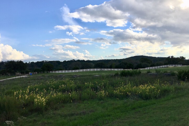 Hill view
