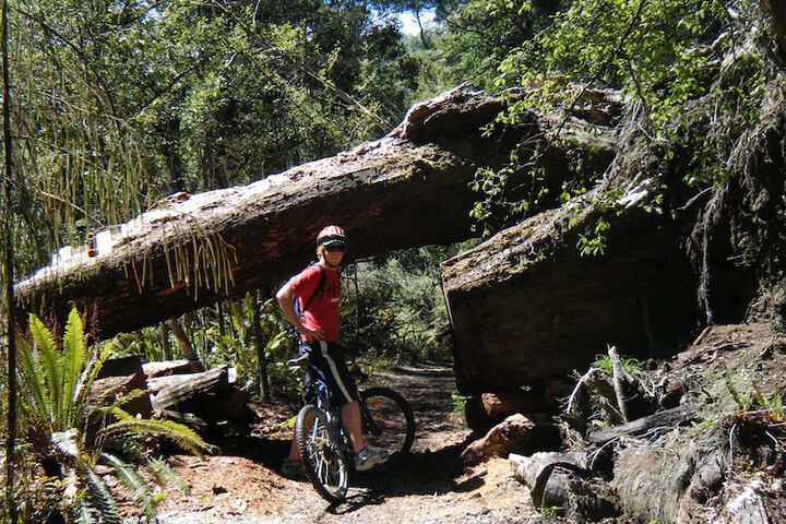 Bicycling