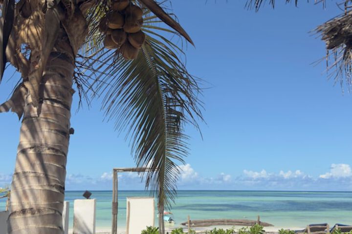 Beach 48 of 57