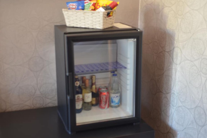Mini-refrigerator