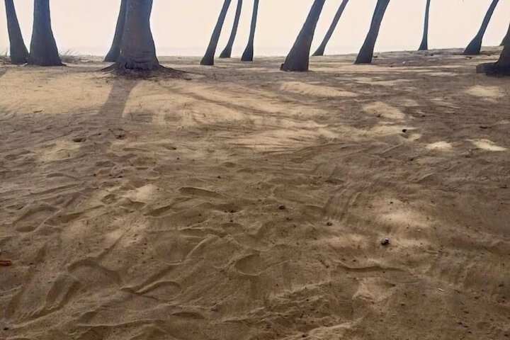 Beach 158 of 195