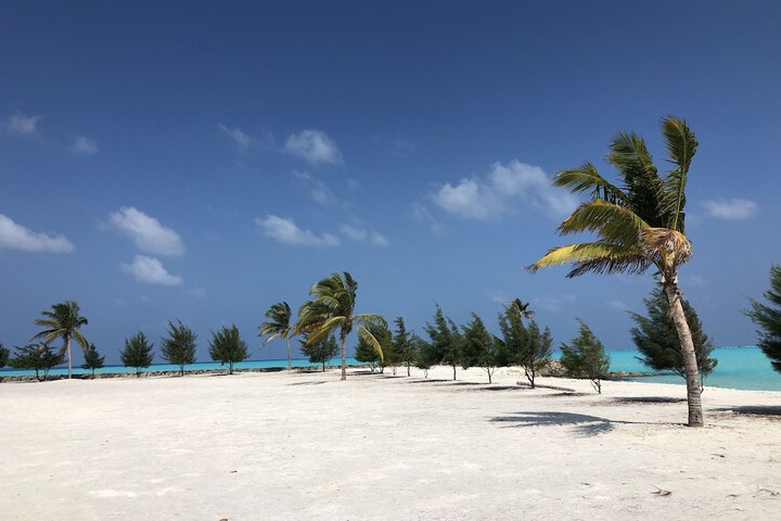 Beach 15 of 29