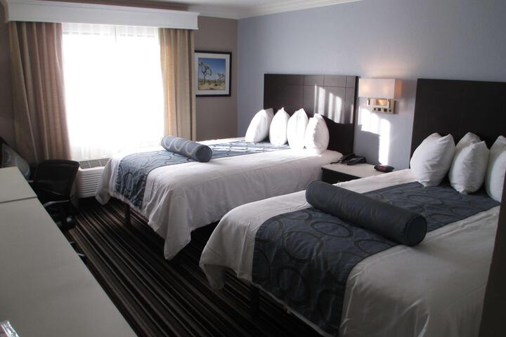 Queen Bed Accessible (8 of 9)