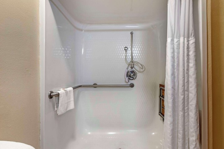 Suite King Bed Accessible (7 of 17)