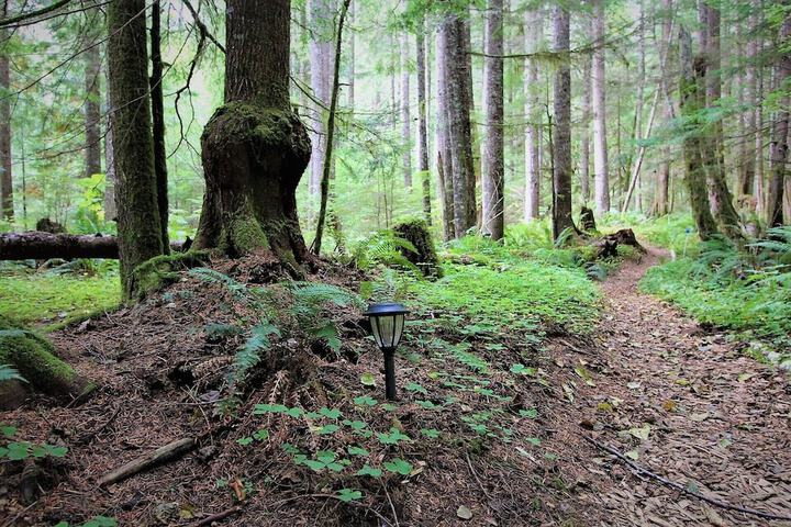 Property Grounds 276 of 311