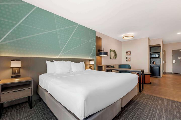 1 King Bed Suite (18 of 21)
