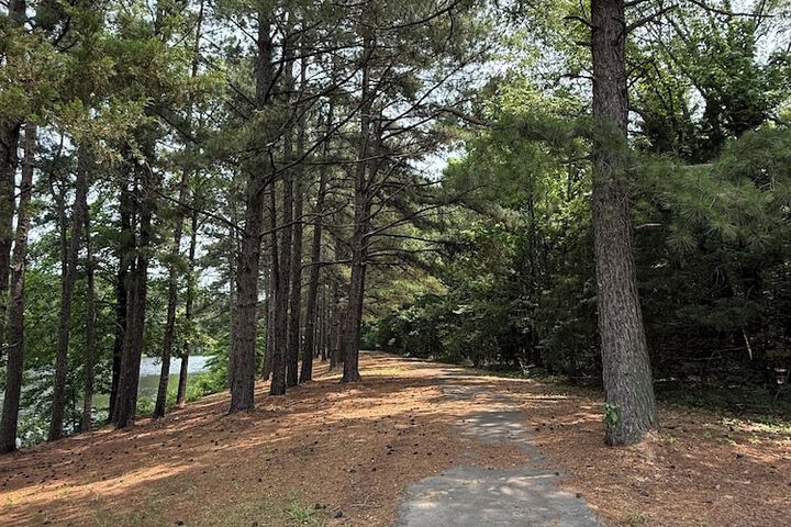 Property Grounds 61 of 66