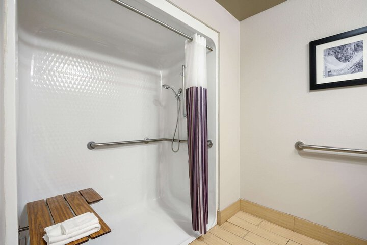 1 King Bed Accessible (10 of 10)