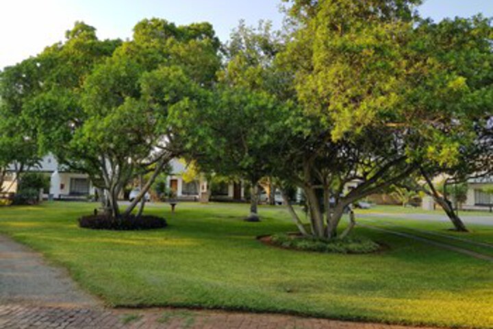 Property Grounds 10 of 22