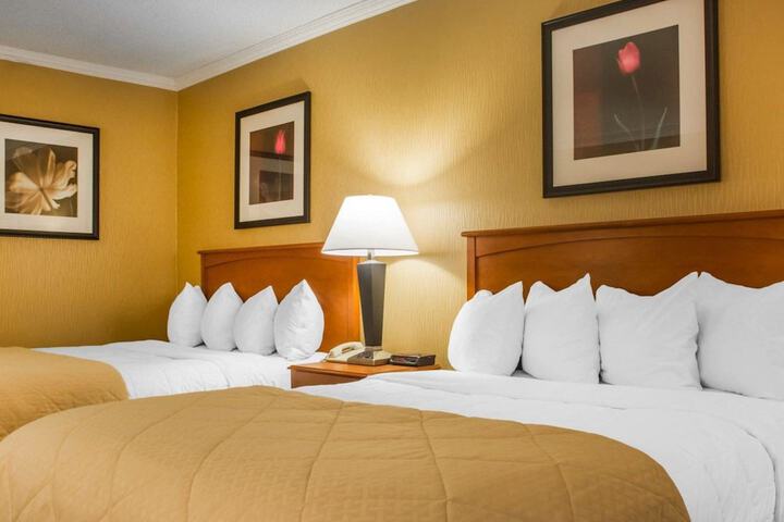 1 Queen Bed (8 of 10)