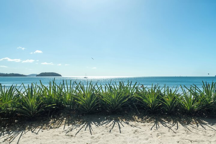 Beach 70 of 76