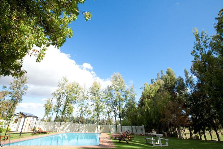 Pool 85 of 110
