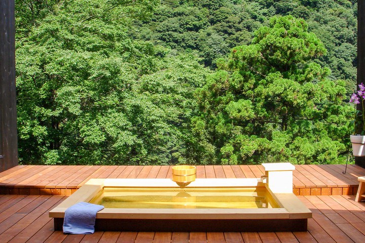 Hakone Yumoto Onsen Seikanso (Kanagawa)