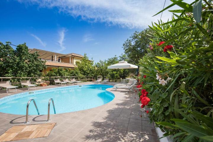 Standard Suite