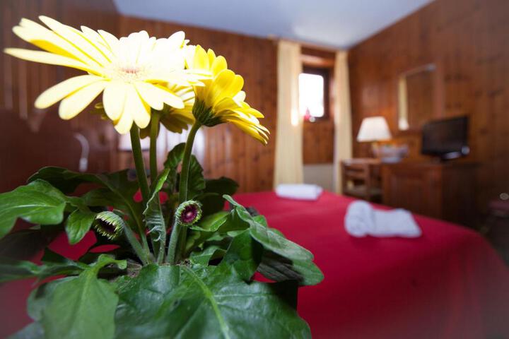 Spa and Wellness Pictures