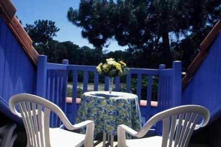 Terrace/Patio 30 of 50