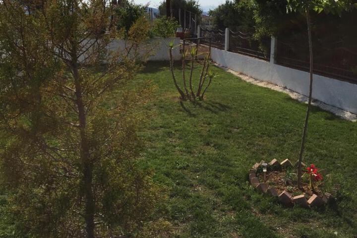 General 40 of 61