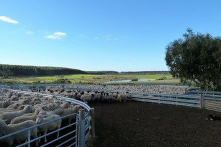 Property Grounds 16 of 16